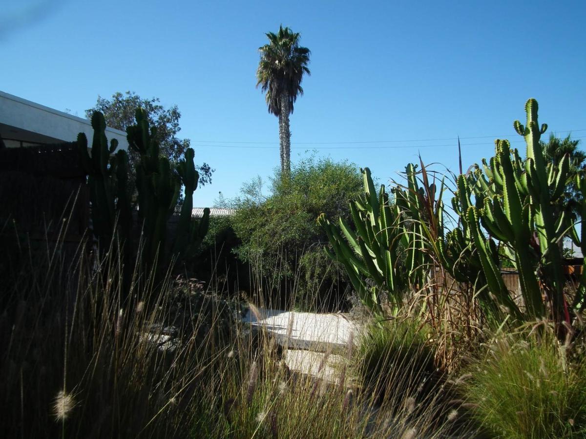 Hotel K באהיה אינגלסה מראה חיצוני תמונה